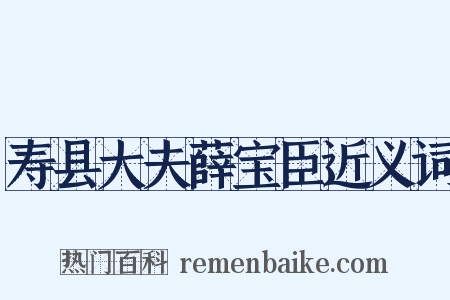 寿县大夫薛宝臣近义词是什么意思的图片